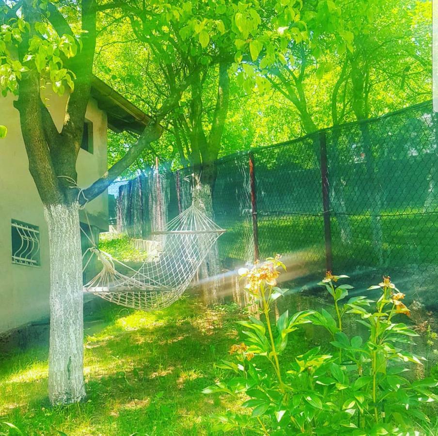 Vila Keep Calm Garden Sarajevo Exteriér fotografie